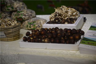 攜手豐臺(tái)，共繪鄉(xiāng)村振興新畫卷——豐臺(tái)區(qū)扶貧協(xié)作地區(qū)農(nóng)副產(chǎn)品推介活動(dòng)紀(jì)實(shí)